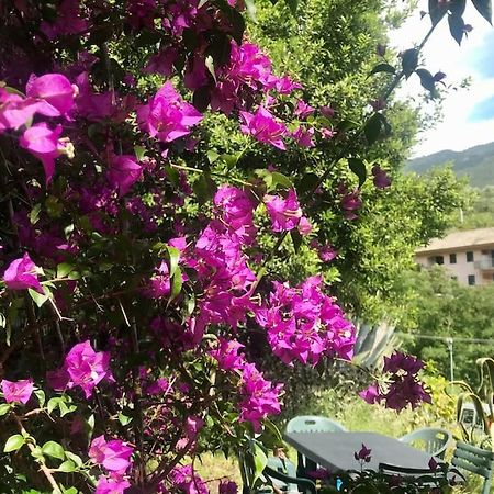 La Casa Novella, A 450 Metri Dal Mare Διαμέρισμα Moneglia Εξωτερικό φωτογραφία