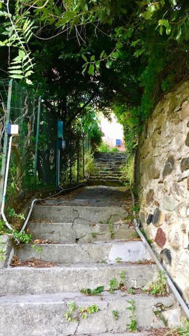 La Casa Novella, A 450 Metri Dal Mare Διαμέρισμα Moneglia Εξωτερικό φωτογραφία