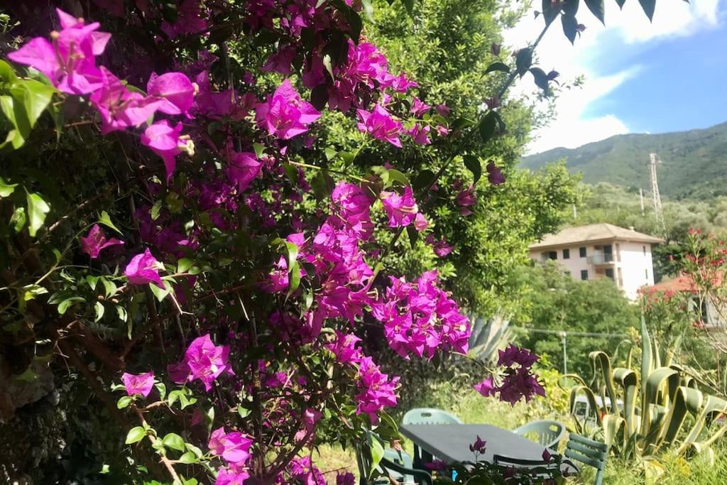 La Casa Novella, A 450 Metri Dal Mare Διαμέρισμα Moneglia Εξωτερικό φωτογραφία